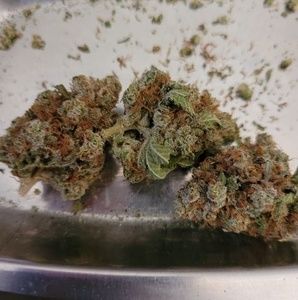 Meet your Posher, Chrissie